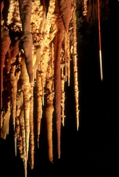 Kartchner Caverns